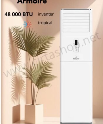 Climatiseurs Armoire RAYLAN 48K