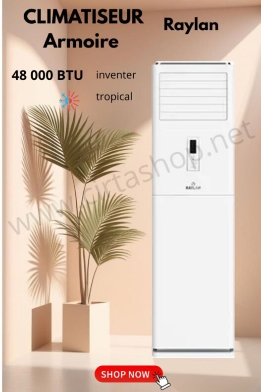Climatiseurs Armoire RAYLAN 48K